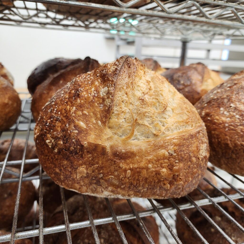Bread + Pastries