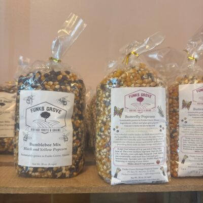Popcorn Kernals